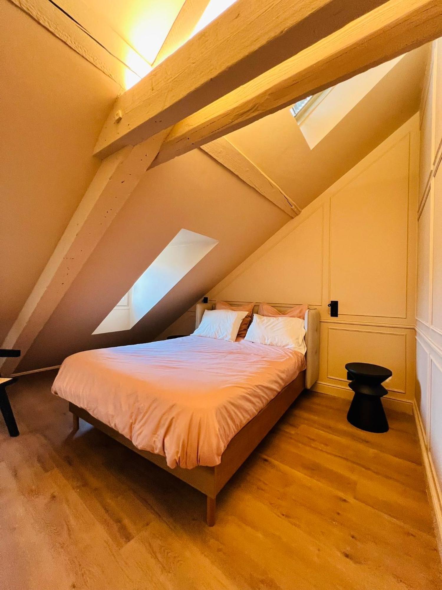 Chez Sandrine, Mon Appartement Elegant + Parking ستراسبورغ المظهر الخارجي الصورة
